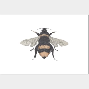 Bee, the gardener's friend. Buzzing! On bright yellow. Posters and Art